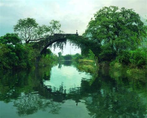 我願化作石橋出處|我願化身石橋，受五百年風吹，五百年日曬，五百年雨。